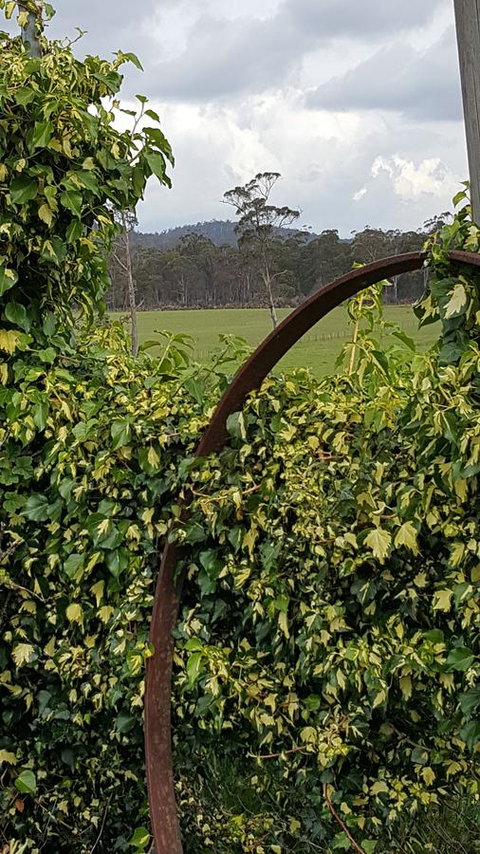 Hazelcreek Cottages - Accommodation in Bendigo 36