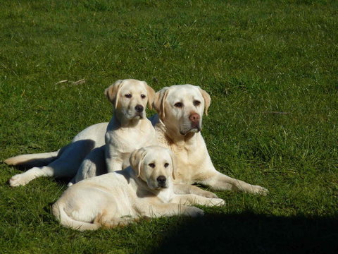 Hazelcreek Cottages - Accommodation in Bendigo 26