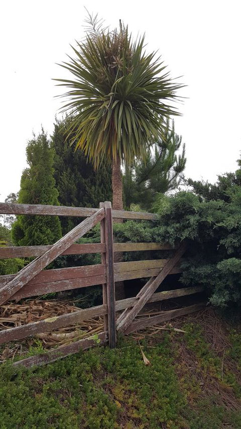 Hazelcreek Cottages - Accommodation in Bendigo 38