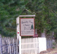 Quamby Pines Chalet - Accommodation in Bendigo
