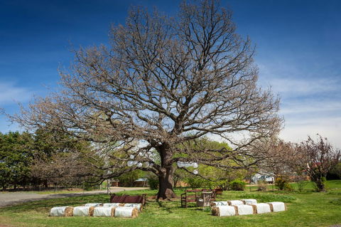 Ratho Farm - Accommodation in Bendigo 8