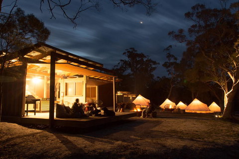 Bay Of Fires Bush Retreat - Accommodation in Bendigo 0