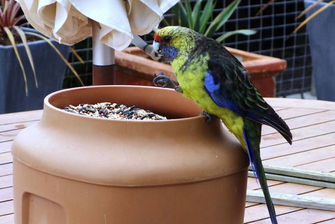 THE LOFT @ Bay Of Fires Seascape - Accommodation in Bendigo 22