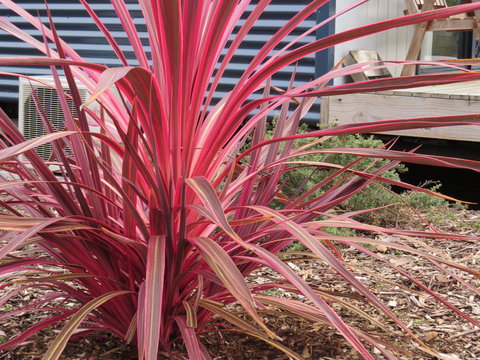 Captain Cook Holiday Park - Accommodation in Bendigo 15