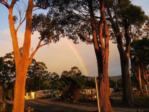 Captain Cook Holiday Park - Accommodation in Bendigo 12