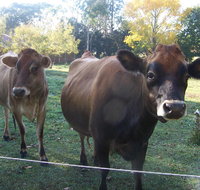 Drumreagh Bed  Breakfast Cabins - Accommodation in Bendigo