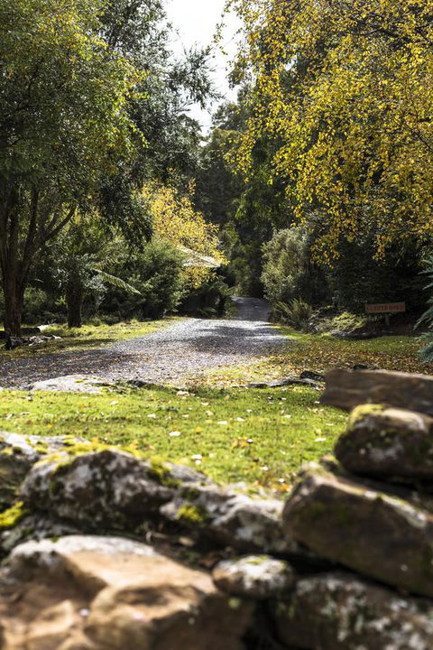 Cradle Forest Inn - Accommodation in Bendigo 34