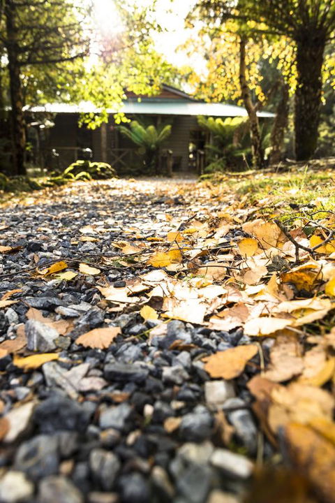 Cradle Forest Inn - Accommodation in Bendigo 35