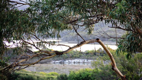 KINGFISHER COTTAGE Beachfront At The Binalong Bay - Accommodation in Bendigo 17