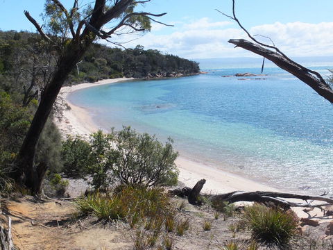 Cove Cottage - Accommodation in Bendigo 12