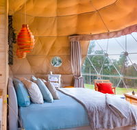 Domescapes in the Vines - Accommodation in Bendigo