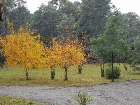 Cradle Alpine Retreat - Accommodation in Bendigo 3