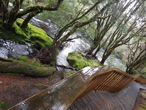 Cradle Alpine Retreat - Accommodation in Bendigo 13