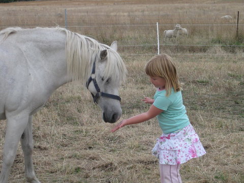Taras Richmond Farmstay - Accommodation in Bendigo 19