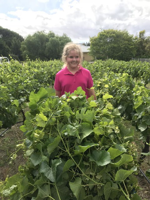 Taras Richmond Farmstay - Accommodation in Bendigo 11