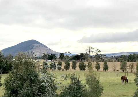 Taras Richmond Farmstay - Accommodation in Bendigo 1