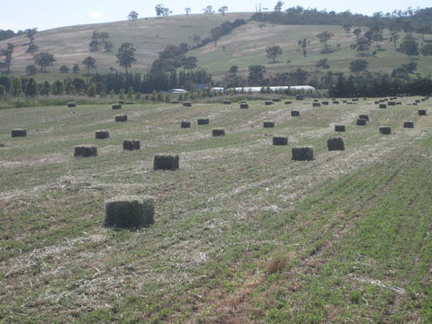 Taras Richmond Farmstay - Accommodation in Bendigo 18