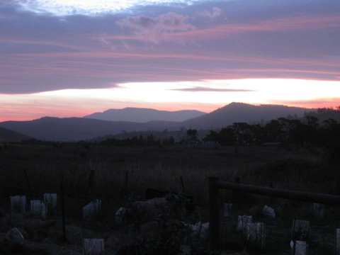 Taras Richmond Farmstay - Accommodation in Bendigo 22