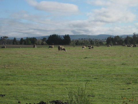Taras Richmond Farmstay - Accommodation in Bendigo 13