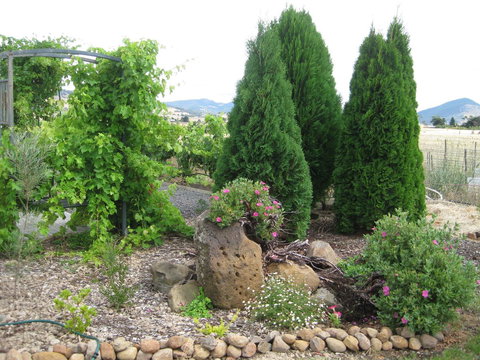 Taras Richmond Farmstay - Accommodation in Bendigo 23