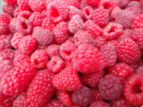 Taras Richmond Farmstay - Accommodation in Bendigo 15