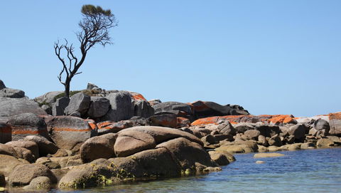 BAY OF FIRES SEACHANGE Ocean Frontage - Accommodation in Bendigo 21