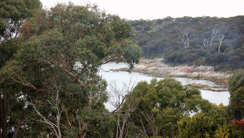 BAY OF FIRES SEACHANGE Ocean Frontage - Accommodation in Bendigo 15