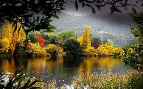 Platypus Playground Riverside Cottage - Accommodation in Bendigo 15