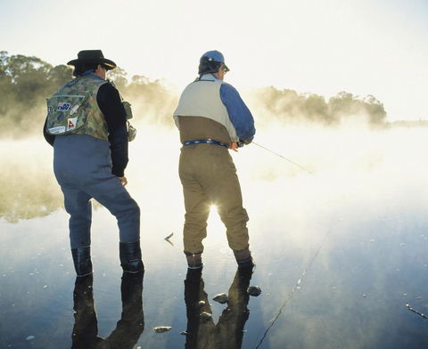 Platypus Playground Riverside Cottage - Accommodation in Bendigo 25
