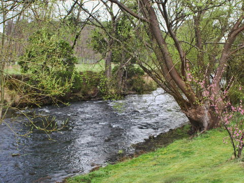 Platypus Playground Riverside Cottage - Accommodation in Bendigo 22
