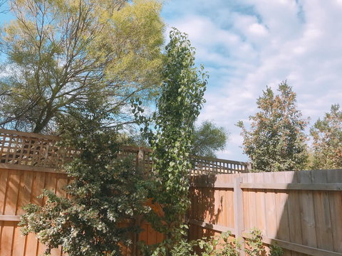 Ellia Doncaster Apartment - Accommodation in Bendigo 17