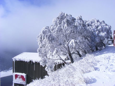 Arlberg Hotham - Accommodation in Bendigo 15