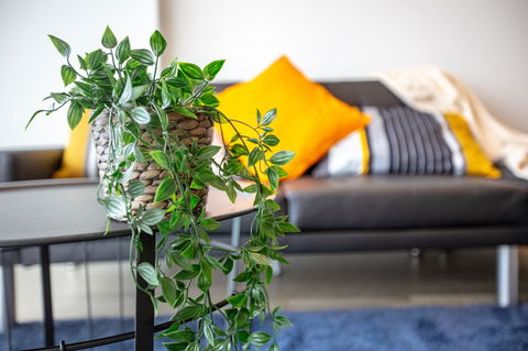 Brand New One/Two - Bed Room Apartment @ Maribyrnong - Accommodation in Bendigo 0