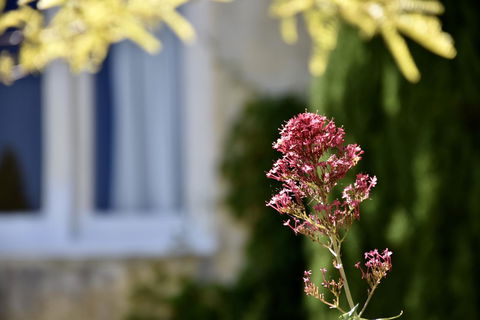 Villa Mallorca - Accommodation in Bendigo 28