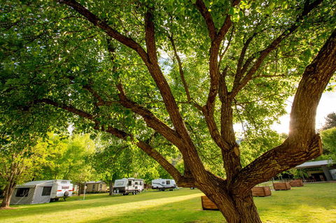 Discovery Parks - Bright - Accommodation in Bendigo 31