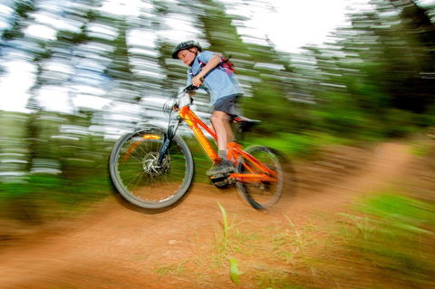 Discovery Parks - Bright - Accommodation in Bendigo 24