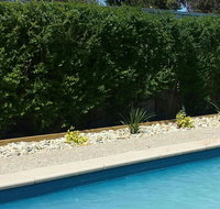 Robinvale Bridge Motel - Accommodation in Bendigo