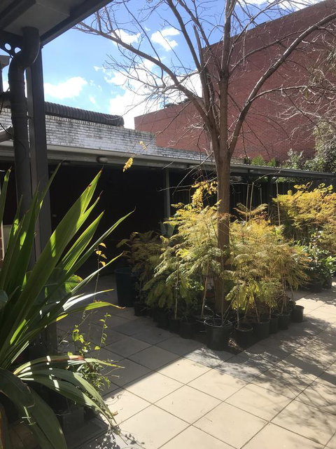 CROWN CENTRAL BUSINESS DISTRICT MOTEL - NO UNDER 18s - Accommodation in Bendigo 21