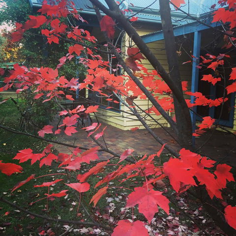 The Orchard House - Accommodation in Bendigo 27