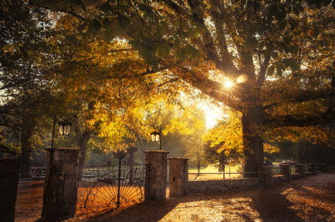Goldfield Holiday Units - Accommodation in Bendigo 20