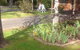 Viewhill Holiday Units - thumb 0