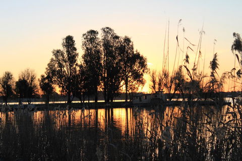 Motel Yarrawonga - Accommodation in Bendigo 20