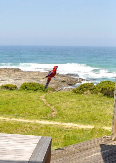 14 Steps - Accommodation in Bendigo 15