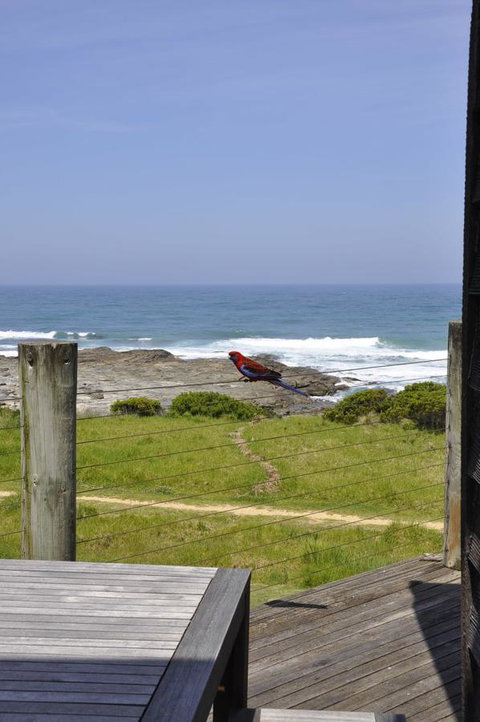 14 Steps - Accommodation in Bendigo 14