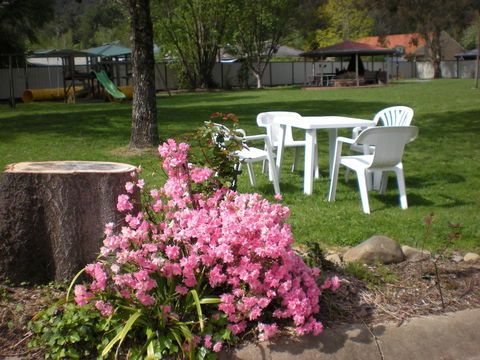 Willow Dene Holiday Apartments - Accommodation in Bendigo 24