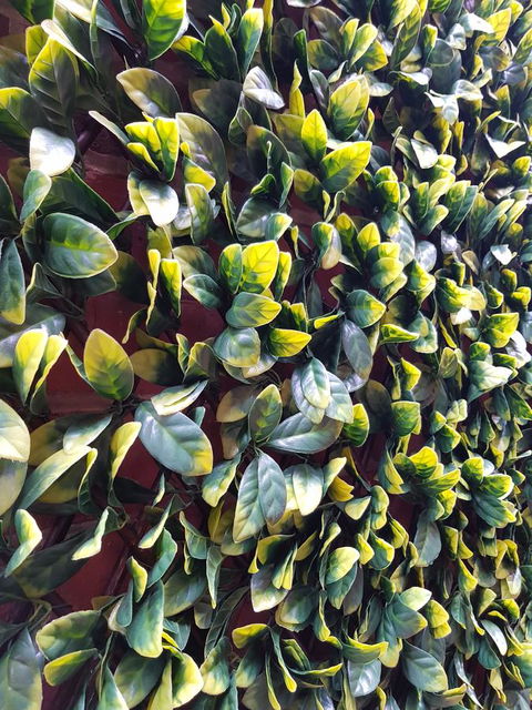 Myers CBD - Accommodation in Bendigo 10