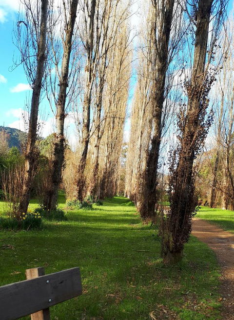 On The Banks - Accommodation in Bendigo 11