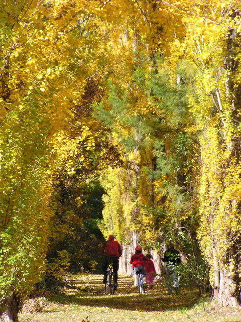 On The Banks - Accommodation in Bendigo 15