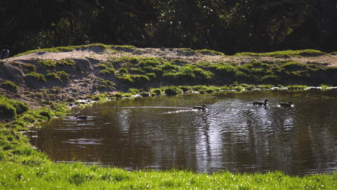 Limosa Rise - Accommodation in Bendigo 15