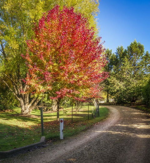 Bright Mystic Valley - Accommodation in Bendigo 23